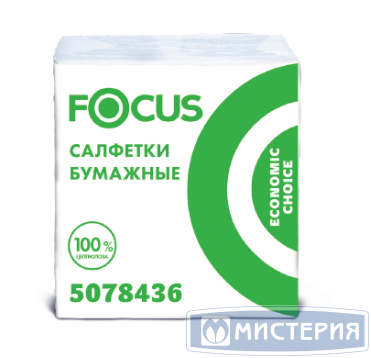 Салфетки 240х200 мм однослойные, белые, бумажные, 100 штук в упаковке "Focus" Economic Choice 24 упаковки в коробке РОССИЯ 5078436